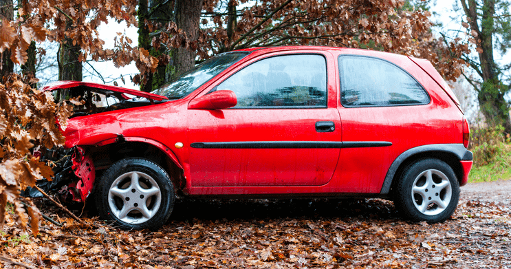 Red hatchback car crashed head on into a tree